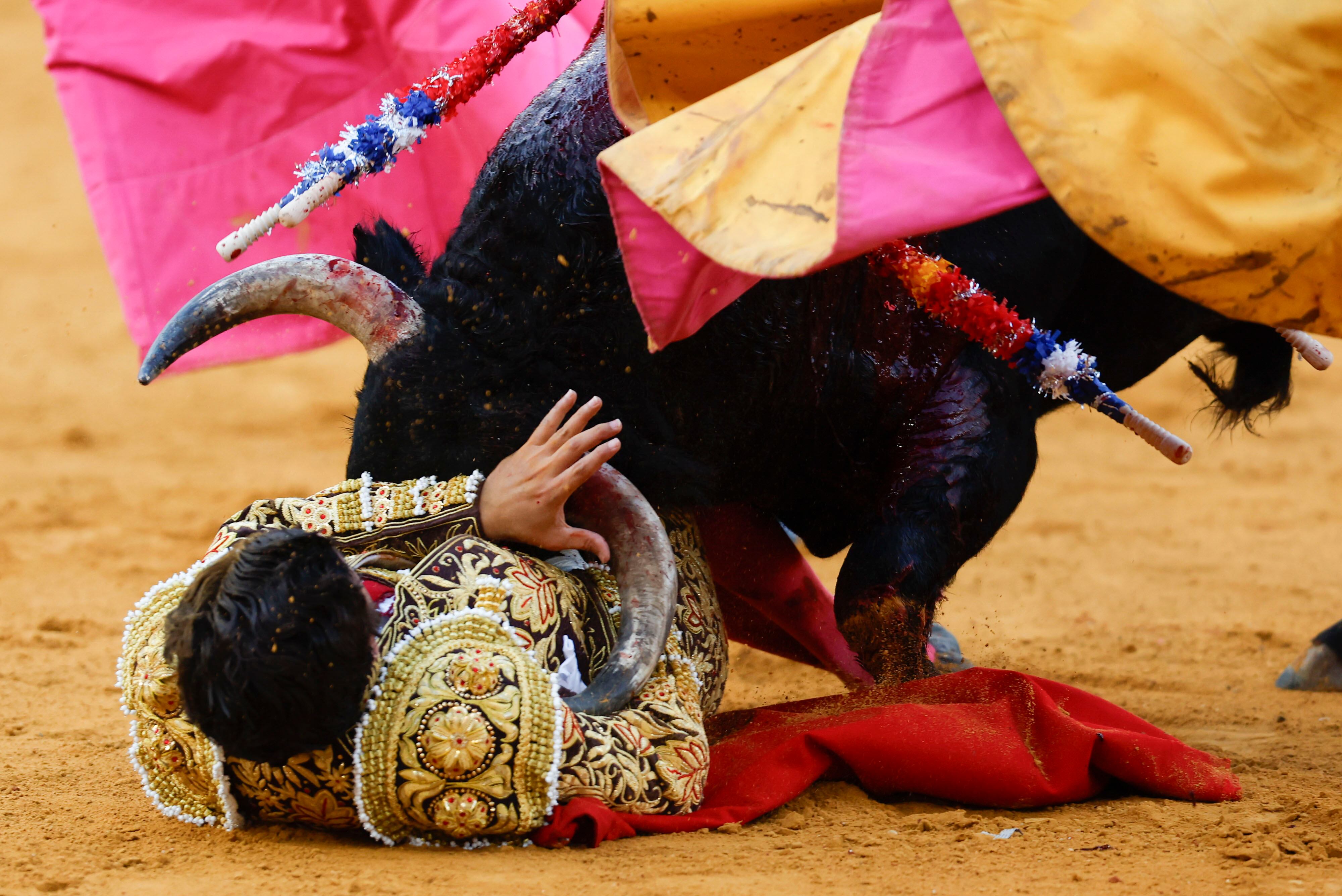 Morante de la Puebla, a merced de los pitones del cuarto toro de la corrida que cerró ayer la Feria de Málaga.