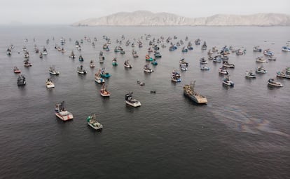 Reserva Nacional de Paracas