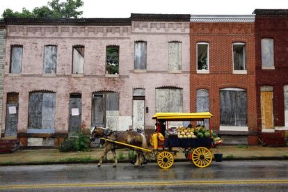 Bilal Yusuf Abdullah conduce una carreta árabe tirada por caballos llena de productos agrícolas frente a unas casas abandonadas en Baltimore. Un carro árabe es la única opción que tienen muchos ciudadanos de las áreas más pobres de Baltimore para comprar alimentos frescos, que no implica uno o varios viajes largos en autobús.