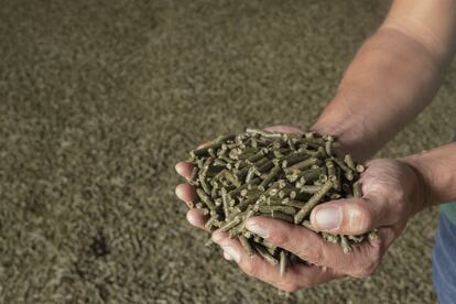 Pellet de alfalfa. Planta deshidratadora de alfalfa en La Puebla de Alfindén, Zaragoza.