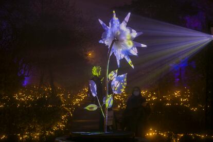 Por segundo año consecutivo, luces navideñas en el Botánico.