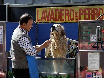 ASEO CANINO