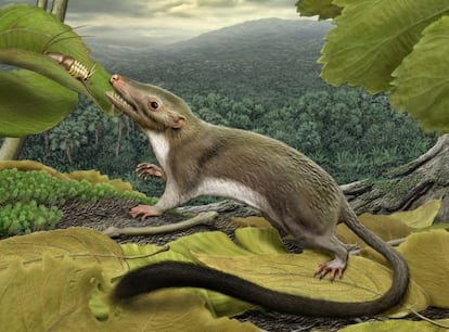 Ilustración del hipotético ancestro de los mamíferos placentarios de hace unos 65 millones de años.