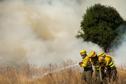 Bomberos trabajan para extinguir un incendio en Zamora, el pasado domingo.