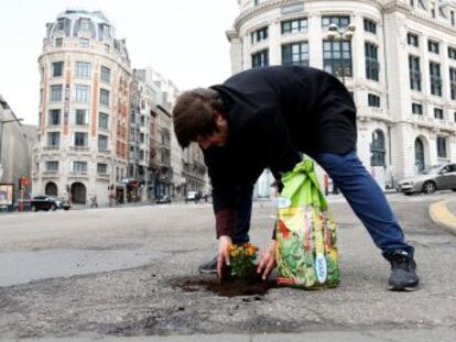 Un vecino de la capital belga denuncia el mal estado de las vías colocando plantas