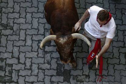 Un mozo realiza su carrera, junto a los cuernos de uno de los toros de Alcurrucén, en el primer encierro de San Fermín.