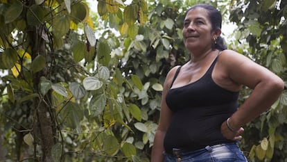 Doris Ramos y su familia cultivaron coca durante mucho tiempo en el municipio de Tumaco.