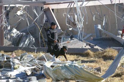 En la búsqueda también participan perros de rescate