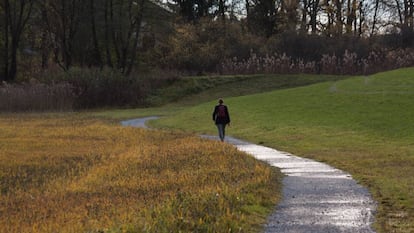 Una persona camina pel camp.