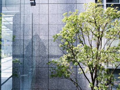 El 58% de los directivos reconoce que existe la “hipocresía verde”