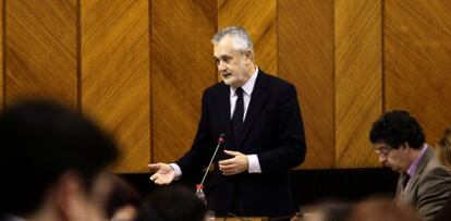 Gri&ntilde;&aacute;n, esta jueves en el Parlamento.