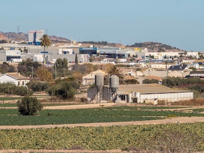 Una explotación ganadera en la pedanía lorquina de Tercia.