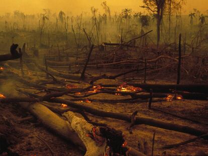 Deforestación y cambio climático