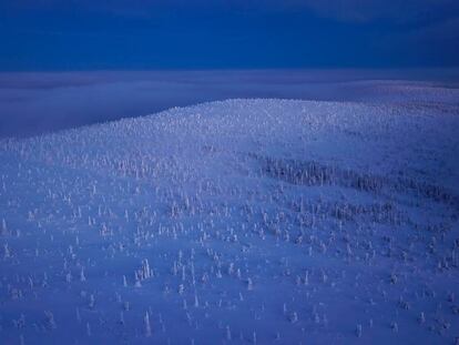 ¿La Red será un espacio cada vez más estrecho?