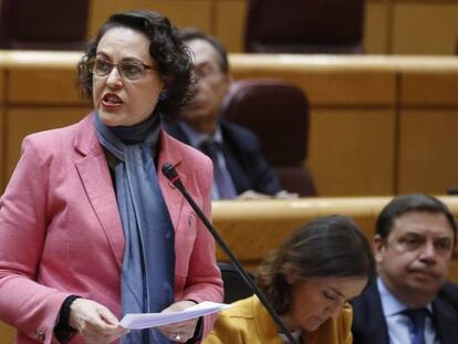 La ministra de Trabajo, Magdalena Valerio, en una sesión en el Senado.