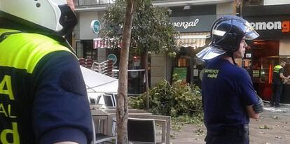 Un bombero y un policía delante de la rama caída en Montera.