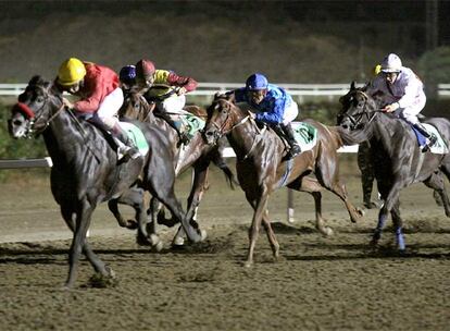 Una carrera de caballos en el hipódromo de Mijas (Málaga) el pasado 25 de julio.