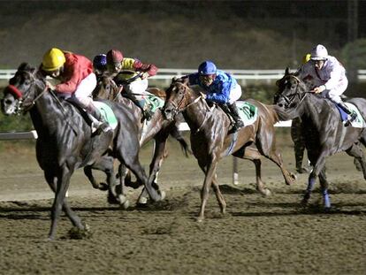 Una carrera de caballos en el hipódromo de Mijas (Málaga) el pasado 25 de julio.