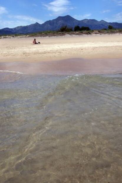 Imagen del estado actual de la playa de L'Auir en Gandia.