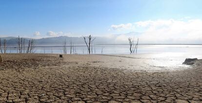 Terreno agrietado cerca de la presa de Sidi El Barrak, en Nafza, cerca de Tunicia (Túnez), el 7 de enero pasado.