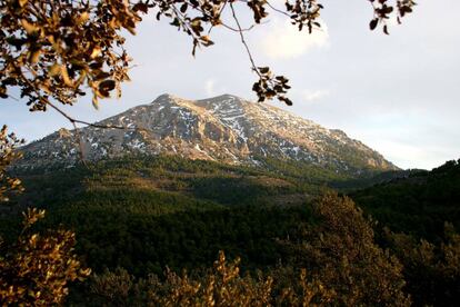 La Sagra (Granada).