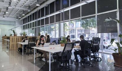 Un espai de 'coworking' al districte 22@ de Barcelona.