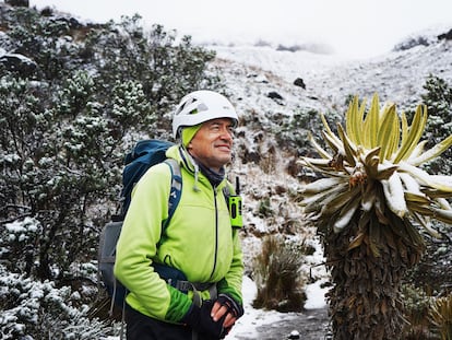 El geógrafo Jorge Luis Ceballos durante la ascensión al glaciar Conejeras. A su derecha, un frailejón, la planta típica del páramo colombiano.