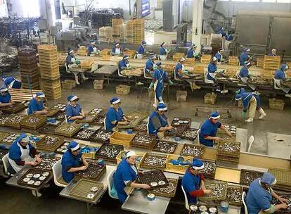 Trabajadoras de la empresa conservera Cortizo, en su factoría de Padrón.