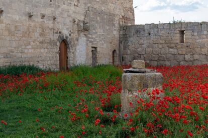 Lugar donde se levantaba el claustro desaparecido, a la izquierda muro del monasterio y en el centro, pozo.