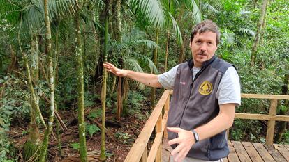 El biólogo Atilio Guzmán explica la asociación del palo rosa con el palmito y su importancia para la fauna local, en el Parque Nacional Iguazú.