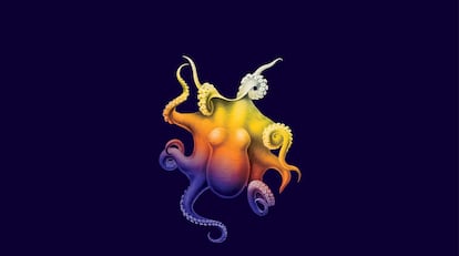 Un pulpo, en la ilustración de la cubierta del libro 'Cuando los animales sueñan'.