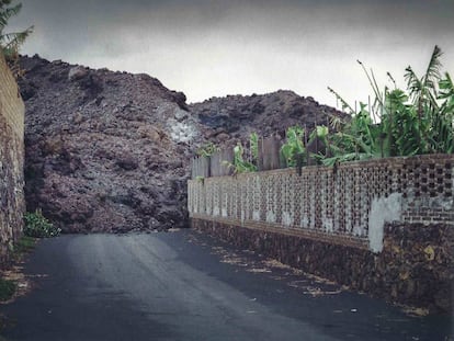 La Palma: el libro que demuestra que son más fuertes que el volcán