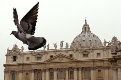 Una paloma vuela esta mañana por las inmediaciones del Vaticano.