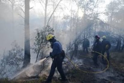 Miembros de las brigadas forestales trabajando en la extinción del incendio que se declaró en la comarca gerundense del Baix Empordà.