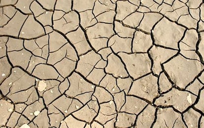 La reflexió sobre les greus conseqüències de la crisi climàtica gairebé no ha interessat els intel·lectuals.
