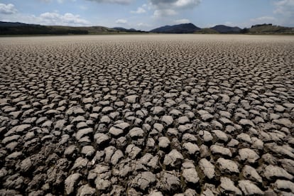suelo seco y cuarteado de la laguna de Suesca, en el departamento de Cundinamarca, Colombia, el 17 de febrero de 2021.