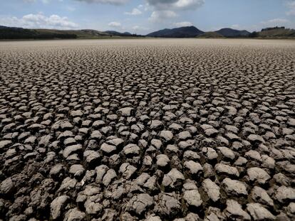 El suelo seco y cuarteado de la laguna de Suesca, en el departamento de Cundinamarca, Colombia, el 17 de febrero de 2021.