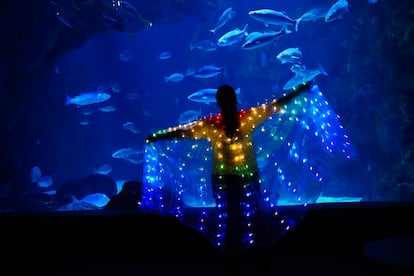 Actividades especiales en Bioparc Acuario de Gijón diseñadas para conectar, emocionar y educar
