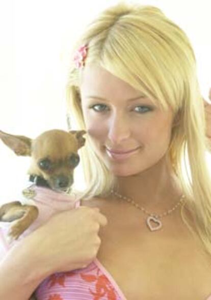 Paris Hilton, con su chihuahua <i>Tinkerbell,</i> el pasado marzo.