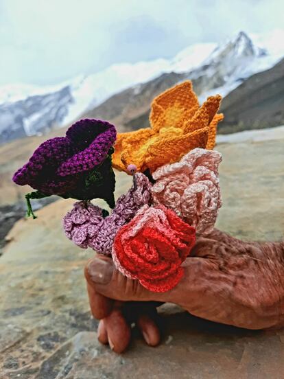 Flores que Carlos Soria quiere subir a la cima del Dhaulagiri.