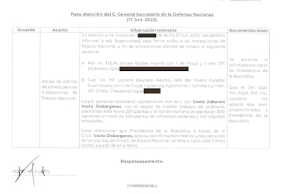 Reporte de la colocación de plantas de ornato en el Palacio Nacional.