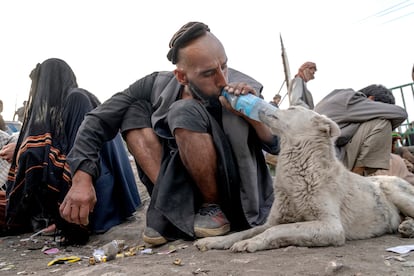 Un hombre le daba heroína a un perro en Kabul, el 7 de junio. Miles de adictos se encuentran viviendo en diferentes barrios de la capital. Los talibanes, que tomaron el poder hace casi un año, lanzaron una agresiva campaña para erradicar el cultivo de la amapola. En 2015, se estimaba que el tráfico internacional de opio y heroína generó en el mundo cerca de 28.000 millones de dólares, más que el producto interior bruto de Afganistán.
