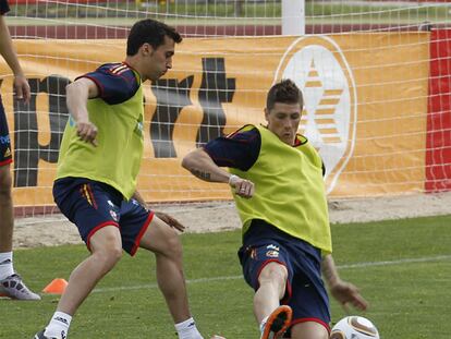 Fernando Torres entra en acción