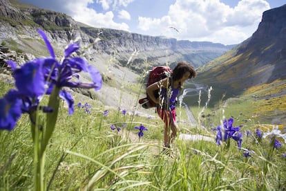 El valle principal del parque nacional de Ordesa y Monte Perdido, en el Pirineo aragonés. 