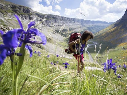 El valle principal del parque nacional de Ordesa y Monte Perdido, en el Pirineo aragonés. 