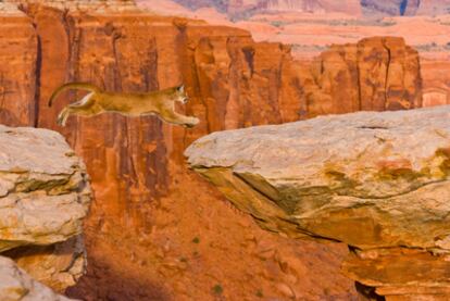 Parque nacional de Arches (Utah, Estados Unidos)