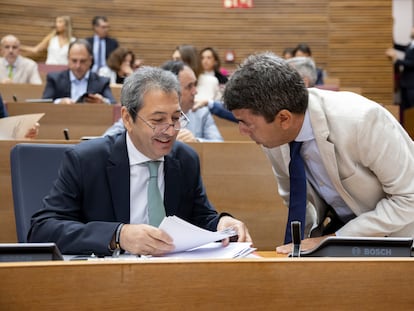 El presidente de la Generalitat, Carlos Mazón, conversa con el vicepresidente primero del Consell y consejero de Cultura y Deporte, Vicente Barrera (VOX), durante una sesión de las Cortes Valencianas.