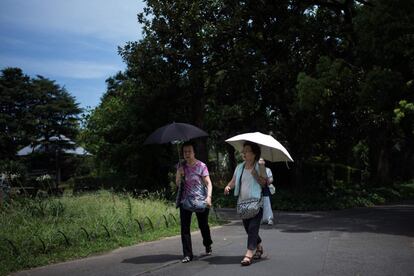 Dos mujeres pasean con paraguas por una calle de Tokio, el 23 de julio de 2018. 