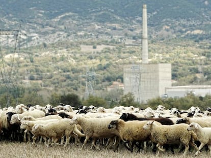 Un reba&ntilde;o de ovejas pastorea junto a la central de Garo&ntilde;a.