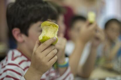 Un niño en un comedor escolar el pasado curso.